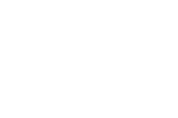 True North Custom Campers - Brands we work with - Victron Energy